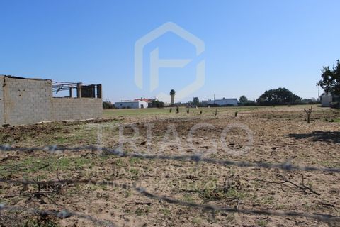Helårsgrund i Benavente, Santarem, Benavente - € 680.000 | Ref: TER_585 - foto 1