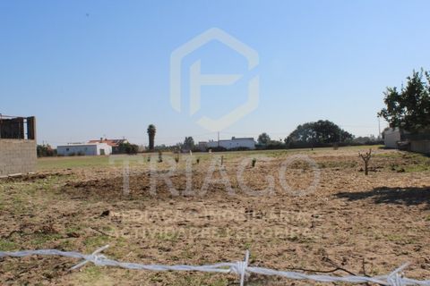 Helårsgrund i Benavente, Santarem, Benavente - € 680.000 | Ref: TER_585 - foto 2