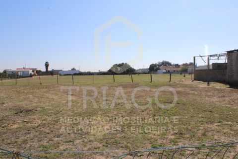 Helårsgrund i Benavente, Santarem, Benavente - € 680.000 | Ref: TER_585 - foto 3