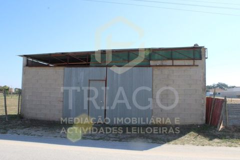 Helårsgrund i Benavente, Santarem, Benavente - € 680.000 | Ref: TER_585 - foto 5