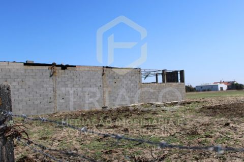Helårsgrund i Benavente, Santarem, Benavente - € 680.000 | Ref: TER_585 - foto 6