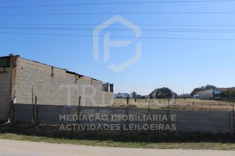 Helårsgrund i Benavente, Santarem, Benavente - € 680.000 | Ref: TER_585 - foto 7