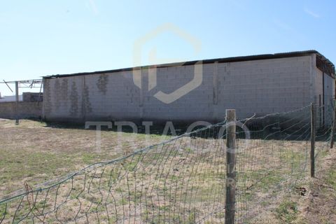 Helårsgrund i Benavente, Santarem, Benavente - € 680.000 | Ref: TER_585 - foto 8
