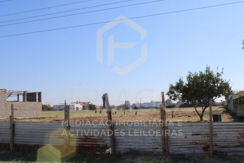 Helårsgrund i Benavente, Santarem, Benavente - € 680.000 | Ref: TER_585 - foto 9