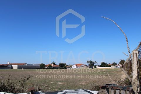 Helårsgrund i Benavente, Santarem, Benavente - € 680.000 | Ref: TER_585 - foto 10