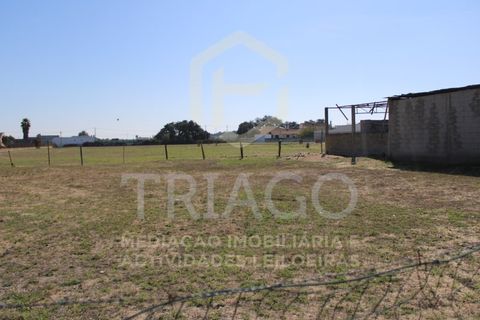 Helårsgrund i Benavente, Santarem, Benavente - € 680.000 | Ref: TER_585 - foto 11