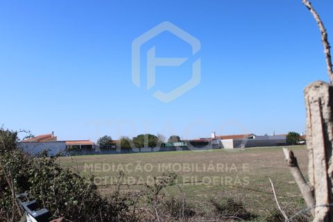 Helårsgrund i Benavente, Santarem, Benavente - € 680.000 | Ref: TER_585 - foto 12