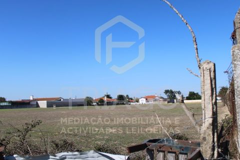 Helårsgrund i Benavente, Santarem, Benavente - € 680.000 | Ref: TER_585 - foto 13