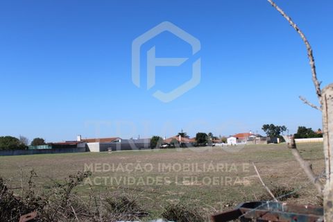 Helårsgrund i Benavente, Santarem, Benavente - € 680.000 | Ref: TER_585 - foto 14