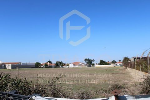 Helårsgrund i Benavente, Santarem, Benavente - € 680.000 | Ref: TER_585 - foto 15