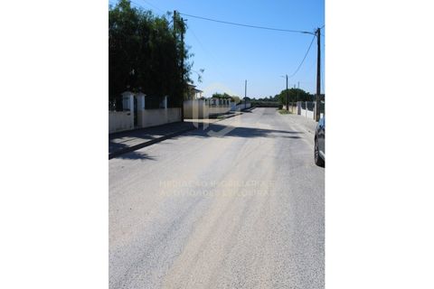 Helårsgrund i Benavente, Santarem, Benavente - € 680.000 | Ref: TER_585 - foto 16