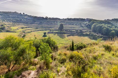 Helårsgrund i Benissa, Alicante, Benissa - € 1.150.000 | Ref: W-02P872 - foto 7