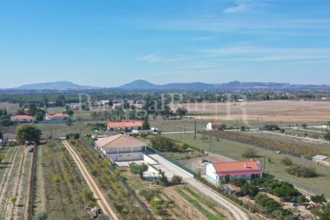 Farm i Palmela, Setubal, Palmela - € 960.000 | Ref: 3210 - foto 5