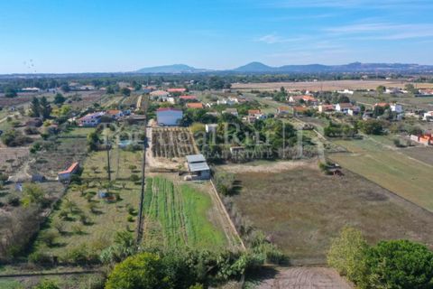 Farm i Palmela, Setubal, Palmela - € 960.000 | Ref: 3210 - foto 7