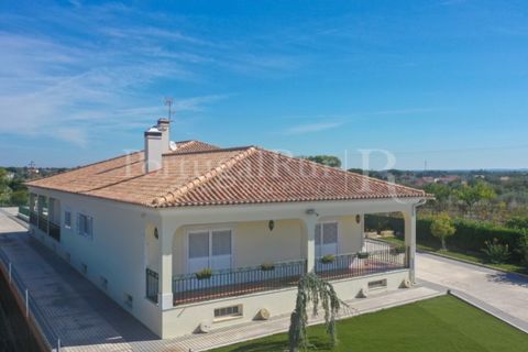 Farm i Palmela, Setubal, Palmela - € 960.000 | Ref: 3210 - foto 8