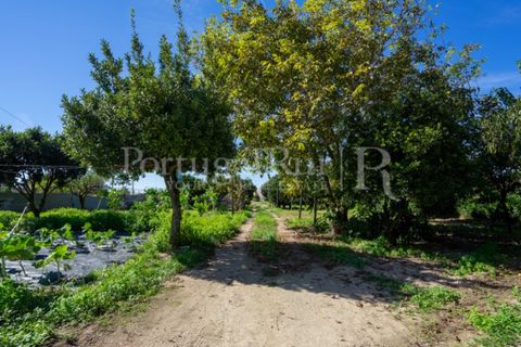 Farm i Palmela, Setubal, Palmela - € 960.000 | Ref: 3210 - foto 48
