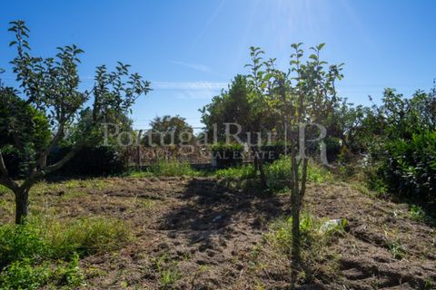 Farm i Palmela, Setubal, Palmela - € 960.000 | Ref: 3210 - foto 49