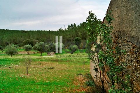 Helårsgrund i Castelo Branco, Castelo Branco, Castelo Branco - € 33.000 | Ref: 3602 - foto 2