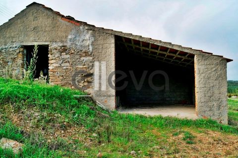 Helårsgrund i Castelo Branco, Castelo Branco, Castelo Branco - € 33.000 | Ref: 3602 - foto 1