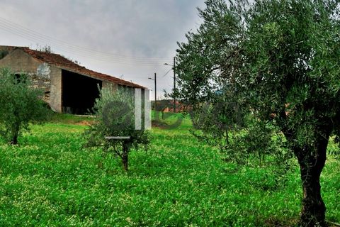 Helårsgrund i Castelo Branco, Castelo Branco, Castelo Branco - € 33.000 | Ref: 3602 - foto 3