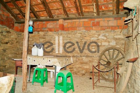 Helårsgrund i Castelo Branco, Castelo Branco, Castelo Branco - € 33.000 | Ref: 3602 - foto 9