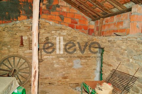 Helårsgrund i Castelo Branco, Castelo Branco, Castelo Branco - € 33.000 | Ref: 3602 - foto 11