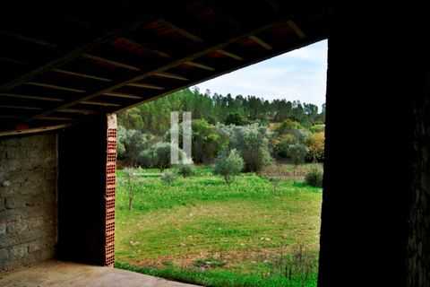 Helårsgrund i Castelo Branco, Castelo Branco, Castelo Branco - € 33.000 | Ref: 3602 - foto 12