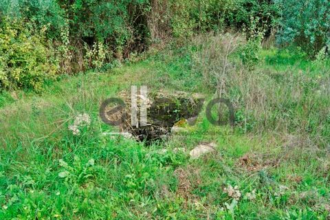 Helårsgrund i Castelo Branco, Castelo Branco, Castelo Branco - € 33.000 | Ref: 3602 - foto 13