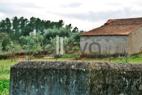 Helårsgrund i Castelo Branco, Castelo Branco, Castelo Branco - € 33.000 | Ref: 3602 - foto 16