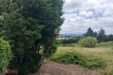 Helårsgrund i Bombarral, Leiria, Bombarral - € 47.000 | Ref: TPH001-214 - foto 6