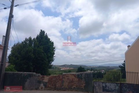 Helårsgrund i Bombarral, Leiria, Bombarral - € 47.000 | Ref: TPH001-214 - foto 7
