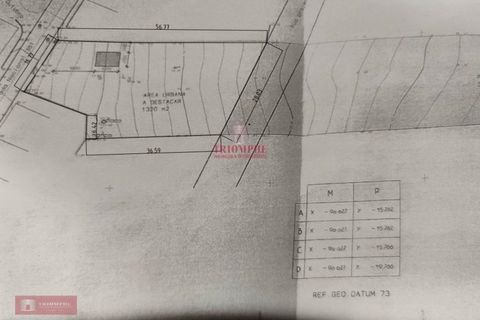 Helårsgrund i Bombarral, Leiria, Bombarral - € 47.000 | Ref: TPH001-214 - foto 10