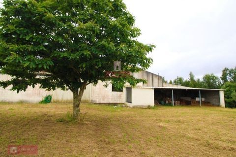 Villa a Soure, Coimbra, Soure - € 540.000 | Ref: TPH001-211 - foto 20