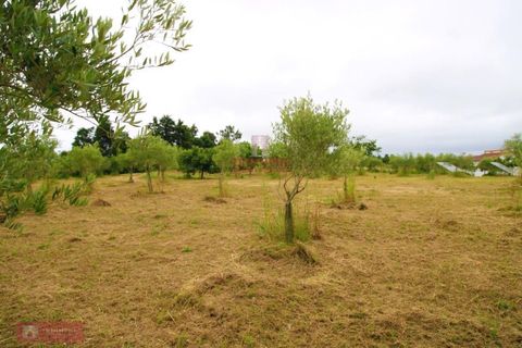 Villa a Soure, Coimbra, Soure - € 540.000 | Ref: TPH001-211 - foto 21