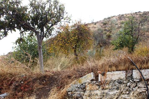Cortijo i Lubrin, Almeria, Lubrin - € 90.000 | Ref: LU1006 - foto 25