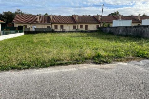 Helårsgrund i Ponte de Lima, Viana do Castelo, Ponte de Lima - € 59.500 | Ref: MDS3764 - foto 2