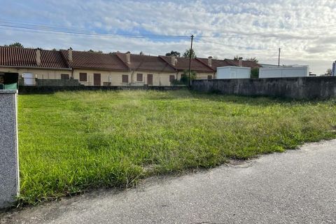 Helårsgrund i Ponte de Lima, Viana do Castelo, Ponte de Lima - € 59.500 | Ref: MDS3764 - foto 3