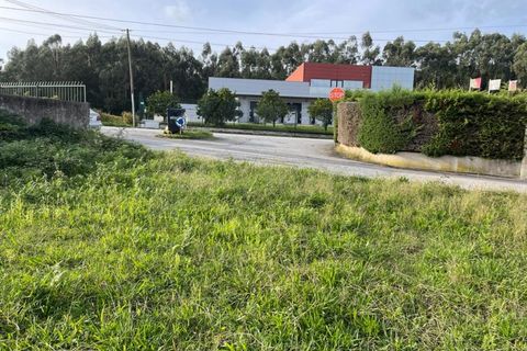 Helårsgrund i Ponte de Lima, Viana do Castelo, Ponte de Lima - € 59.500 | Ref: MDS3764 - foto 4