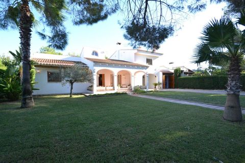 Villa i Deltebre, Tarragona, Deltebre - € 530.000 | Ref: FZR1152/6931 - foto 2