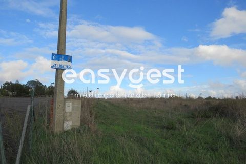 Helårsgrund i Aljustrel, Beja, Aljustrel - € 35.000 | Ref: BJ90368AJ - foto 1