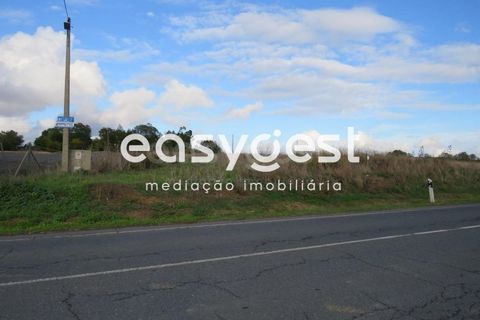 Helårsgrund i Aljustrel, Beja, Aljustrel - € 35.000 | Ref: BJ90368AJ - foto 2