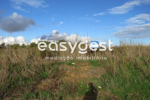 Helårsgrund i Aljustrel, Beja, Aljustrel - € 35.000 | Ref: BJ90368AJ - foto 4
