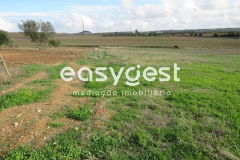 Helårsgrund i Aljustrel, Beja, Aljustrel - € 35.000 | Ref: BJ90368AJ - foto 5