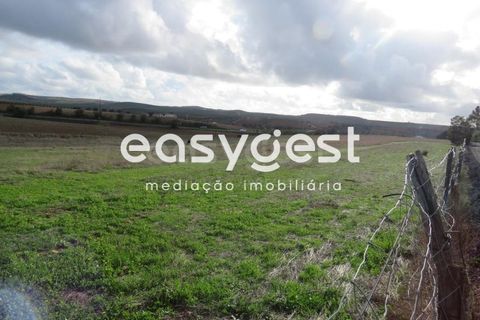 Helårsgrund i Aljustrel, Beja, Aljustrel - € 35.000 | Ref: BJ90368AJ - foto 6