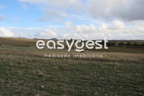 Helårsgrund i Aljustrel, Beja, Aljustrel - € 35.000 | Ref: BJ90368AJ - foto 9