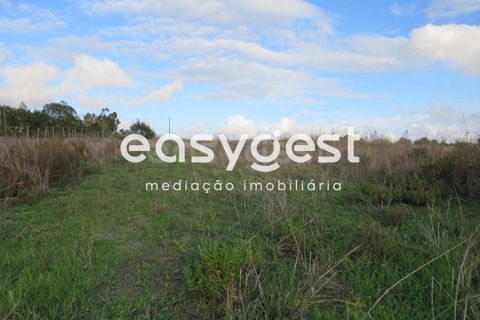 Helårsgrund i Aljustrel, Beja, Aljustrel - € 35.000 | Ref: BJ90368AJ - foto 13