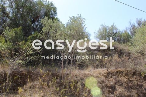 Helårsgrund i Tomar, Santarem, Tomar - € 11.000 | Ref: TM903912 - foto 4