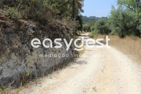 Helårsgrund i Tomar, Santarem, Tomar - € 11.000 | Ref: TM903912 - foto 8