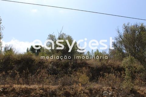 Helårsgrund i Tomar, Santarem, Tomar - € 11.000 | Ref: TM903912 - foto 9