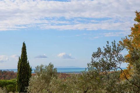 Villa a Guardistallo, Pisa, Guardistallo - € 980.000 | Ref: COSBS 2023H - foto 6